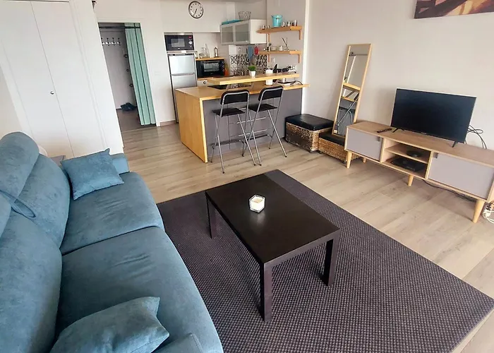 Studio Vue Mer Exceptionnelle Premiere Ligne Carnon Plage